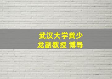 武汉大学龚少龙副教授 博导